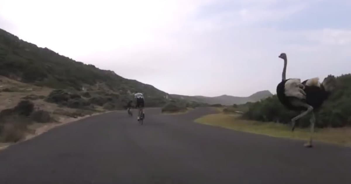 VIDEO: Chceš byť ako Sagan? Nájdi si takéhoto trénera!