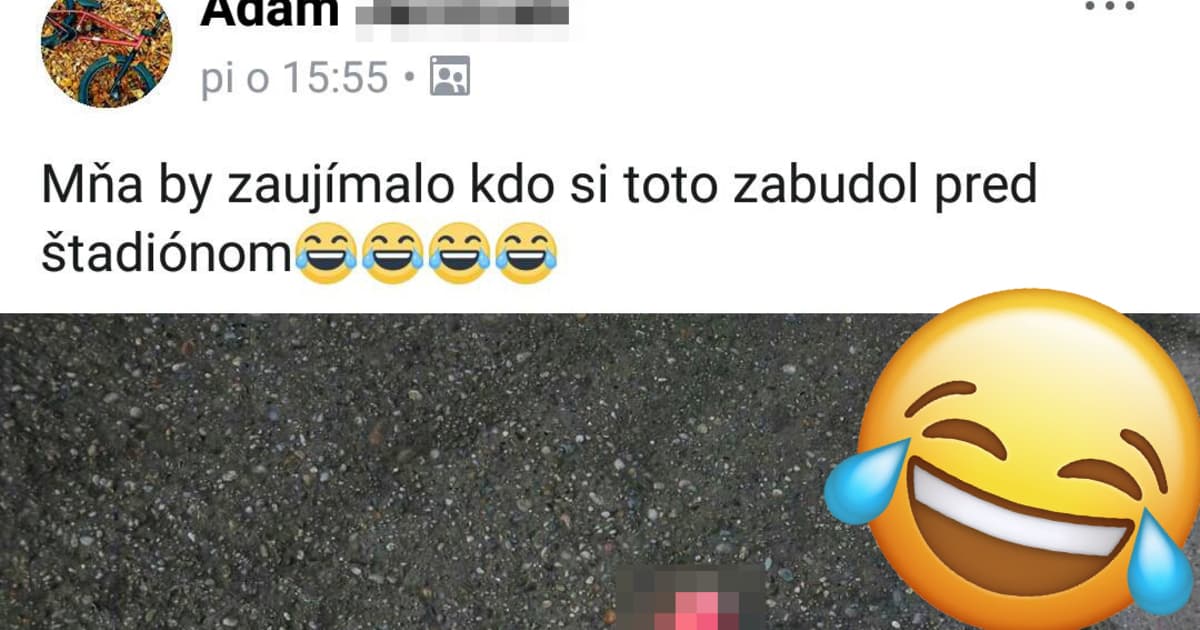 V Dunajskej Lužnej sa krátko pred Valentínom našiel tento pomocníček! Hľadáme majiteľku