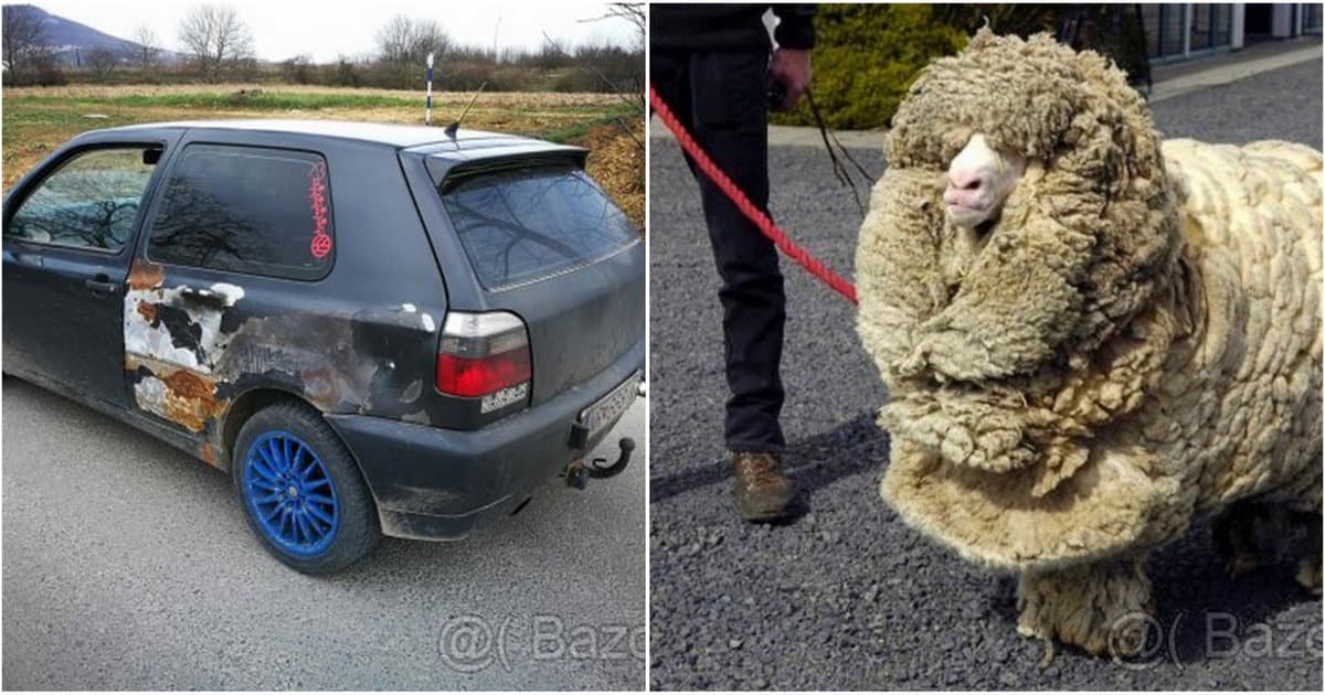 Predáva auto lebo jeho baranovi sa nepáči. TOP inzerát!