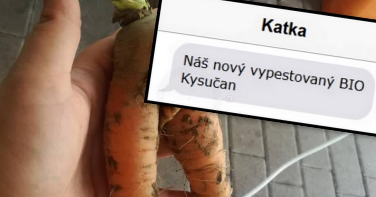 FunFOTO: Poslucháčke Katke sa podarilo vypestovať TAKÚTO mrkvu!