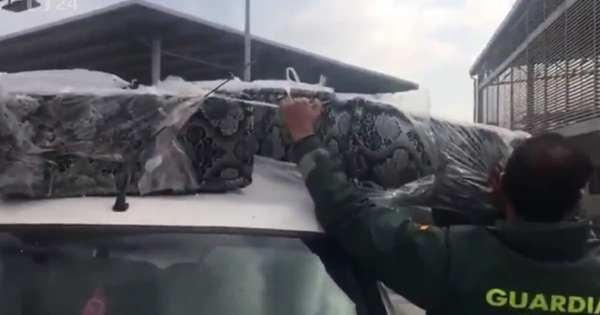 VIDEO: Do Európy sa chceli dostať ukrytí v matracoch na streche auta