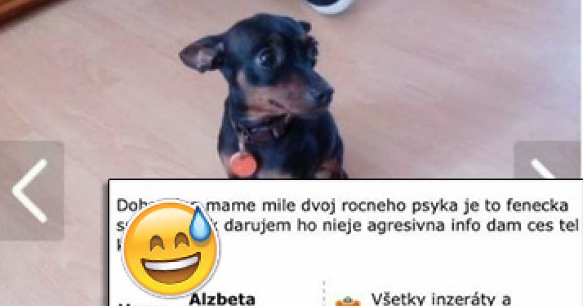 Alžbeta daruje 2-ročného psíka. Plemeno, ktoré uviedla, nenájde ani Google