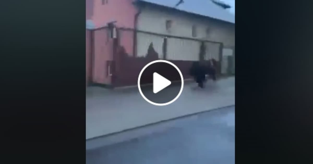 VIDEO: Len tak si ideš po Ružomberku a zrazu toto!