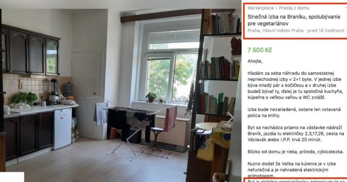 Nezvyčajný inzerát rozdelil Slovákov na dve skupiny. Spolubývajúci musí totiž spĺňať túto podmienku