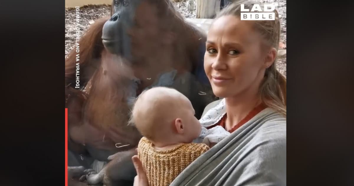 Úžasný moment zo ZOO. Orangutan prekvapil mamičku s malým synom