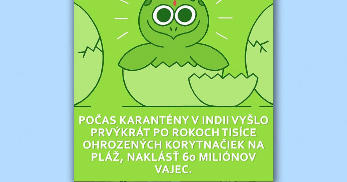 Počas koronavírusu sa dejú aj dobré veci! Tento taliansky umelec ich premieňa do milých ilustrácií