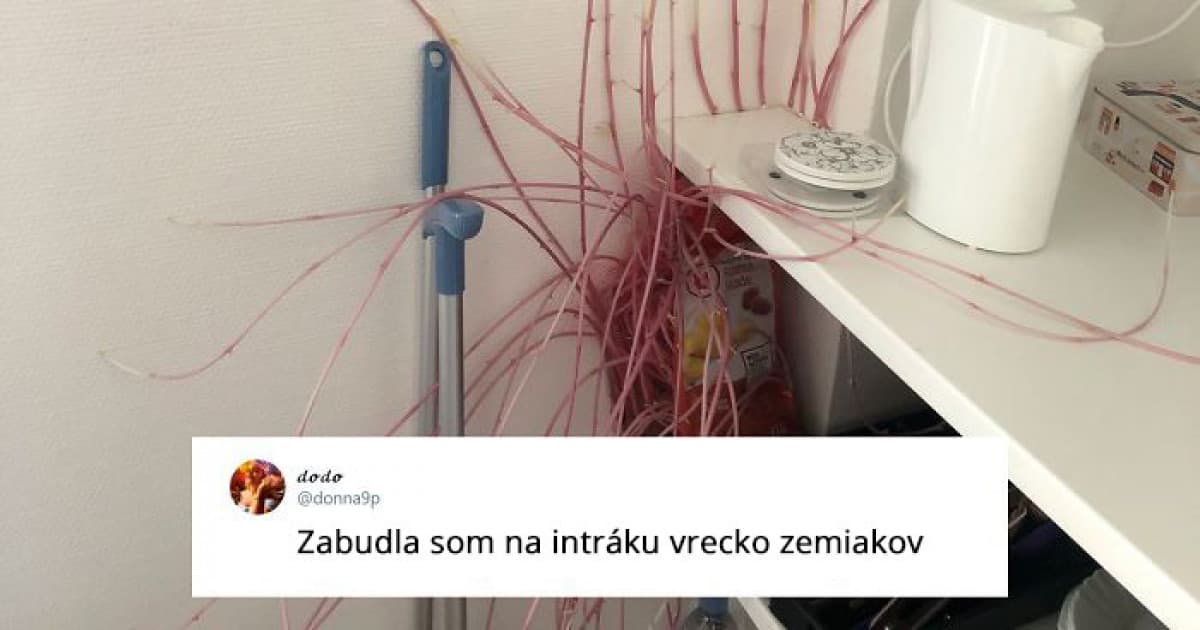 Po karanténe sa po 3 mesiacoch vrátila do svojho bytu. Keď uvidela, čo sa stalo so zemiakmi, neverila!