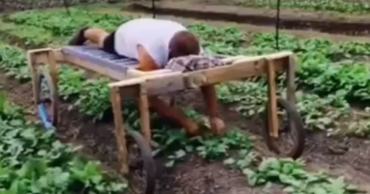 Tento chlapík prišiel s geniálnym nápadom, ako trhať burinu a zároveň oddychovať