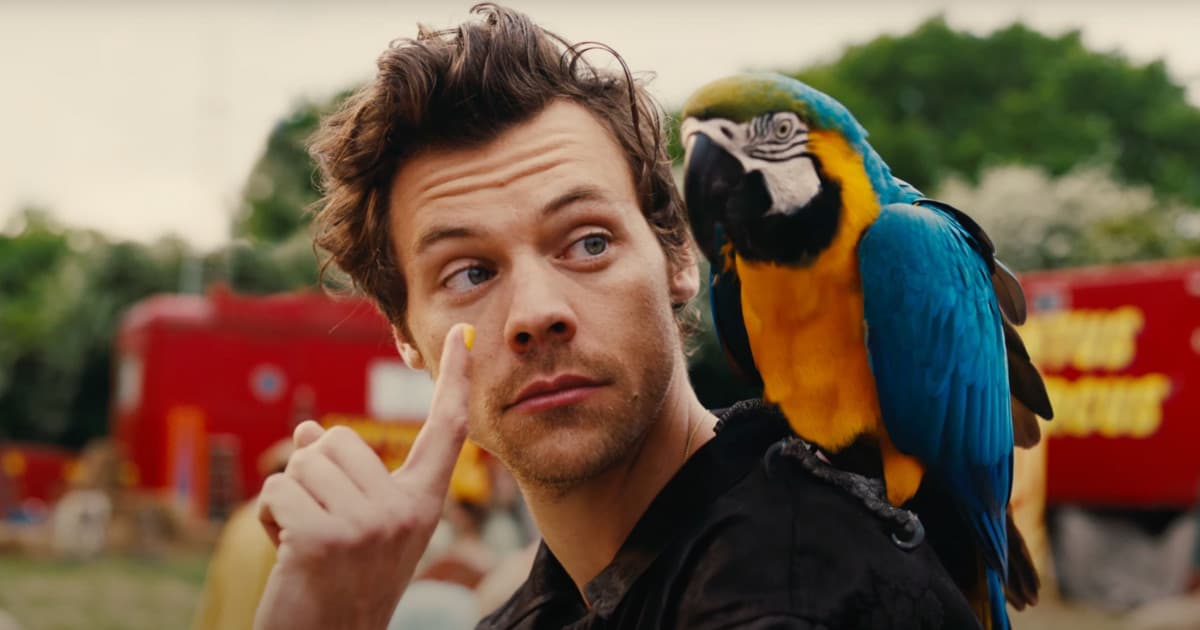 Harry Styles sa premenil na cirkusanta a nechal sa vystreliť z dela! Vypočuj si jeho chytľavú novinku