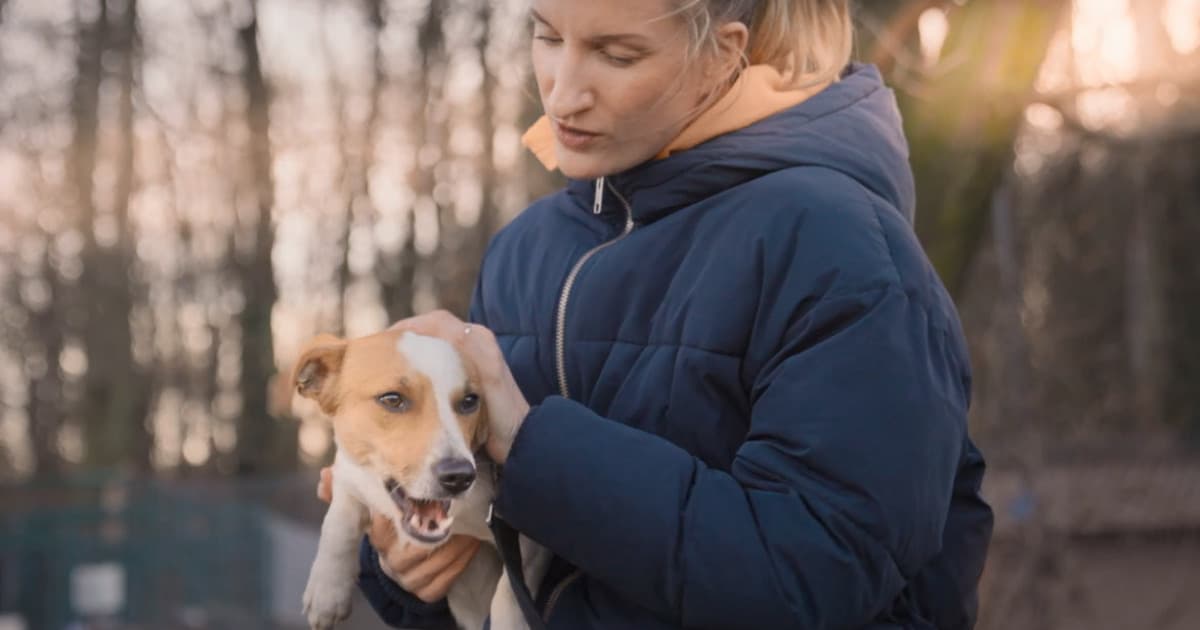 PREMIÉRA: Československý duet k filmu o Gumpovi otvára tému psích adopcií